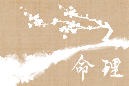 八字免费测算命盘 汉程紫微排盘 紫微富贵免费算命 排命盘 胎元命宫八字排盘 算命命盘